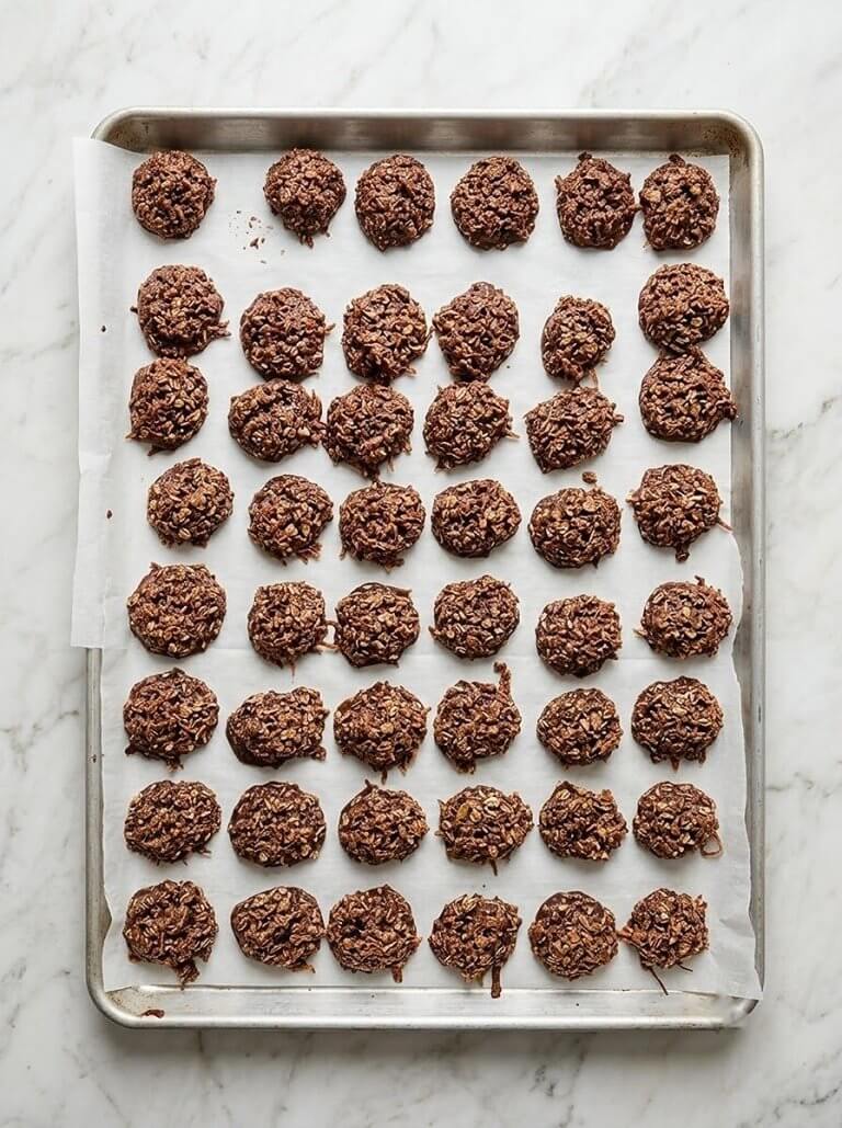Oatmeal Chocolate Coconut Macaroons